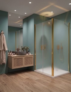 Porta saloon con lato fisso in vetro temperato opaco 6mm...